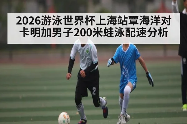 2026游泳世界杯上海站覃海洋对卡明加男子200米蛙泳配速分析